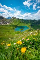 Flowery view of the Schrecksee lake and the Hochvogel mountain