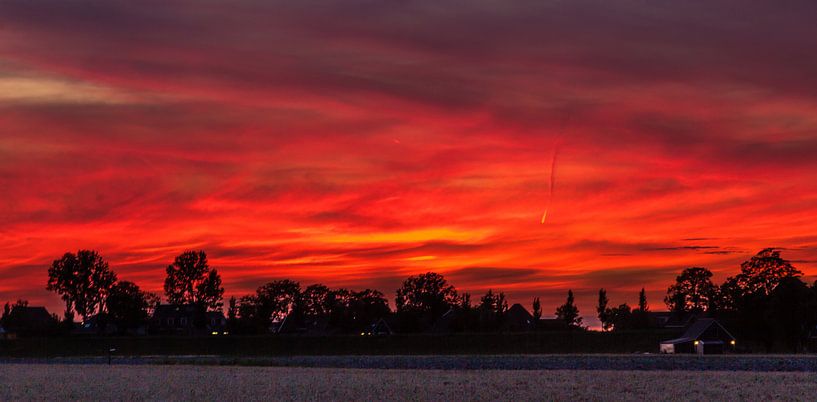 Amsterdam by Brandon Lee Bouwman