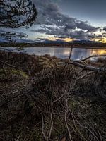 Le passage à l'heure bleue