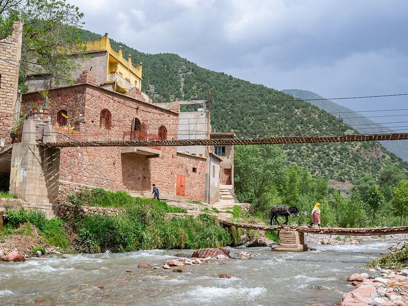 Marokkanische Frau mit Esel geht auf die Straße von Marlies de Buck