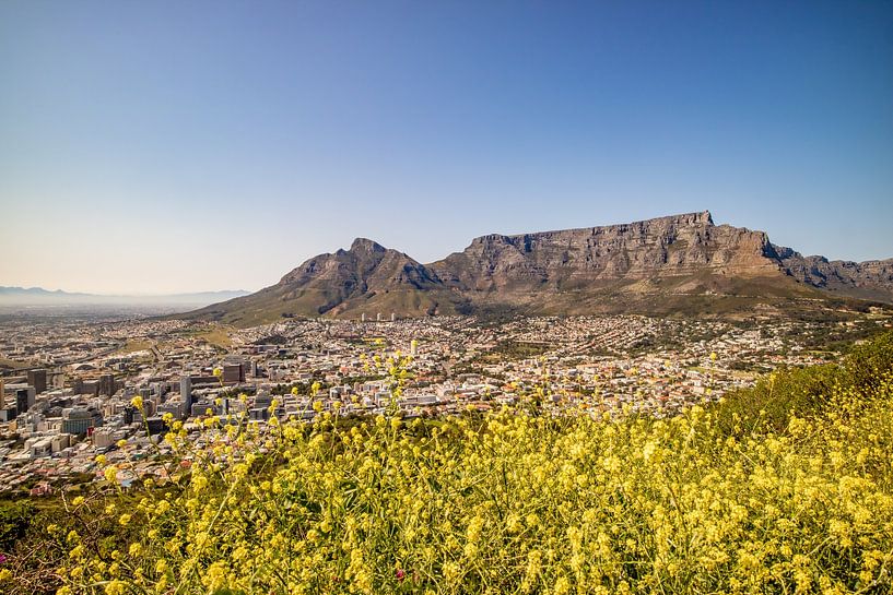 Südafrika - Safaris, Küsten und Weinberge von Patrick Fotografeert
