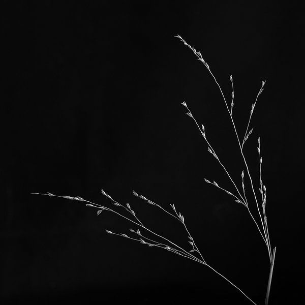 Einfachheit von Anneliese Grünwald-Märkl