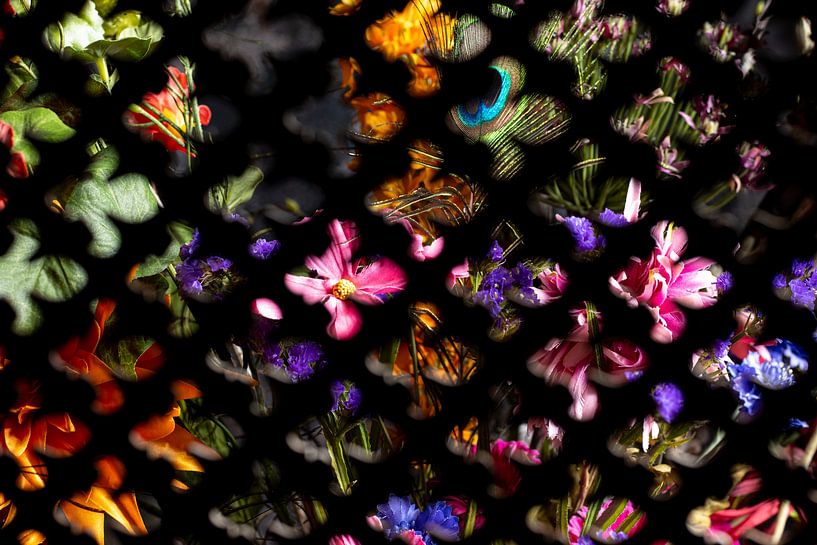 flower vista by SO fotografie