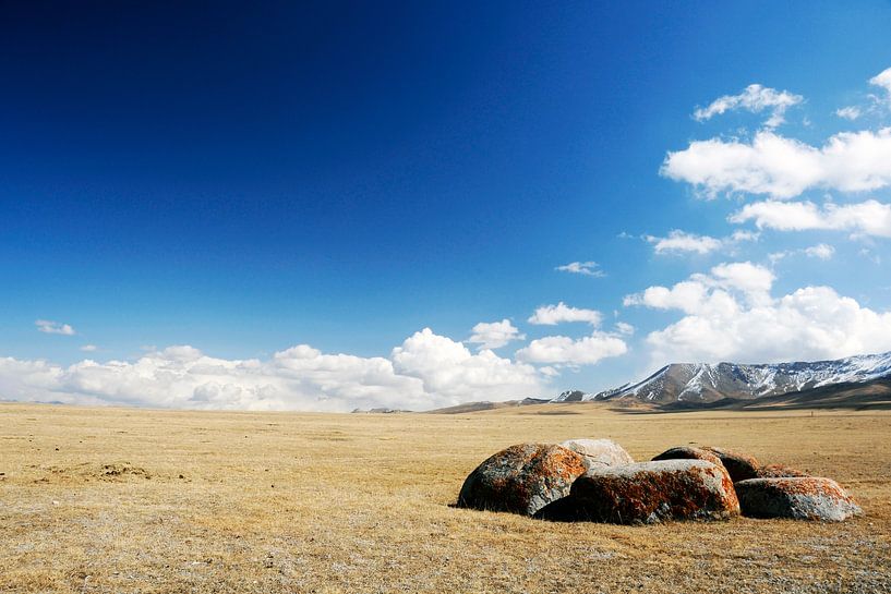 Die schneebedeckten Gipfel des Tiensjan-Gebirges. von Ton Bijvank