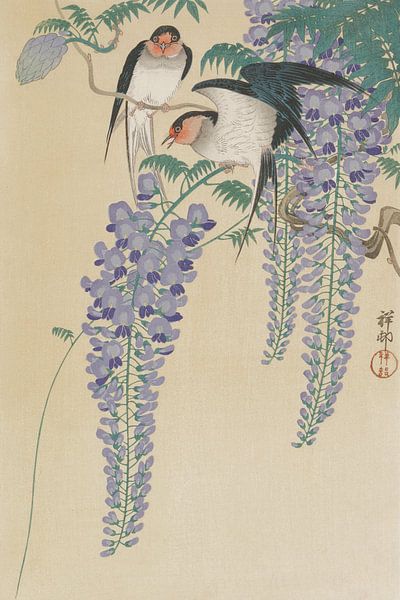 Swallows und Wisteria, Ohara Koson von Meisterhafte Meister