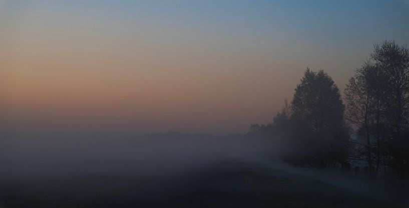 Début d'une belle journée de printemps par Miny'S
