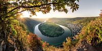 Sonniger Herbst an der Mosel in Rheinland-Pfalz