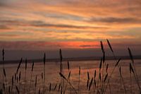 Lever de soleil - Mer du Nord