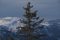 Impressionen aus dem Allgäu