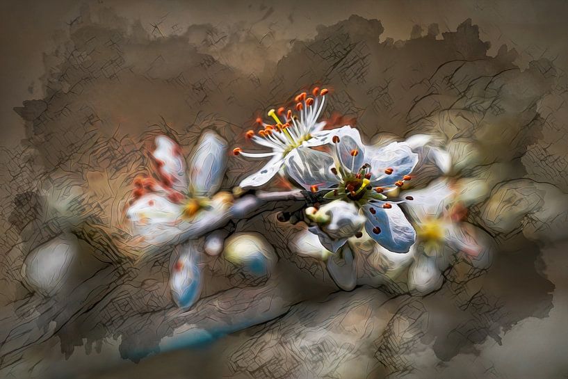 White blossom by Rob Boon