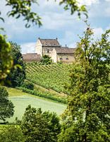 Domaine viticole Apostelhoeve Maastricht