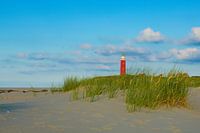 Texel Lighthouse in the dunes