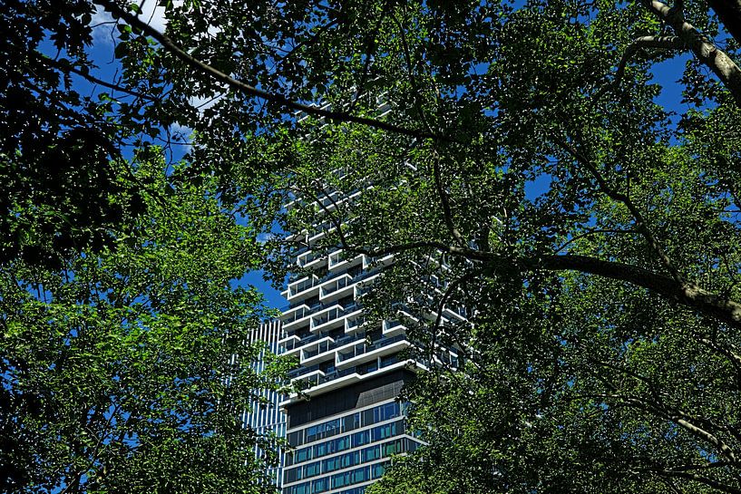 Frankfurt architecture by Thomas Riess