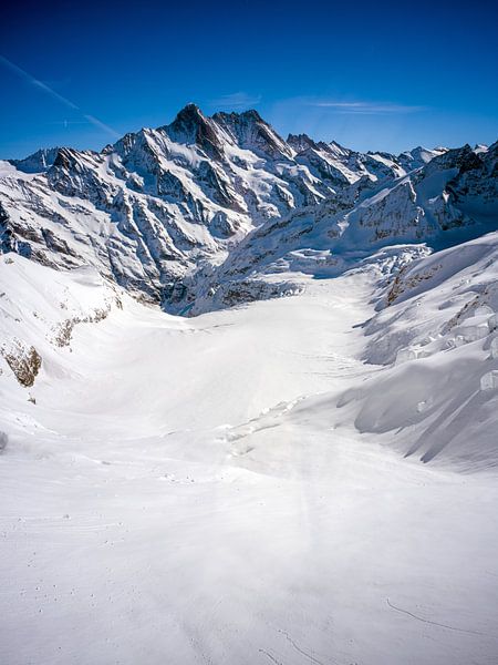 Alpes suisses : Glacier de la Mer de Glace (Ischmeer) par t.ART