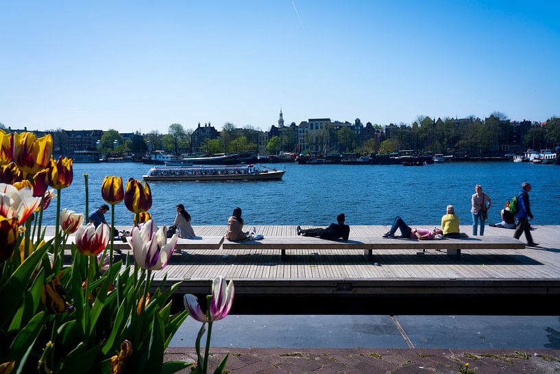 Tulipes &amp; Summer day @ Oosterdok in Amsterdam par John Ozguc