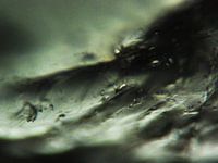 Les ours Haribo sous le microscope