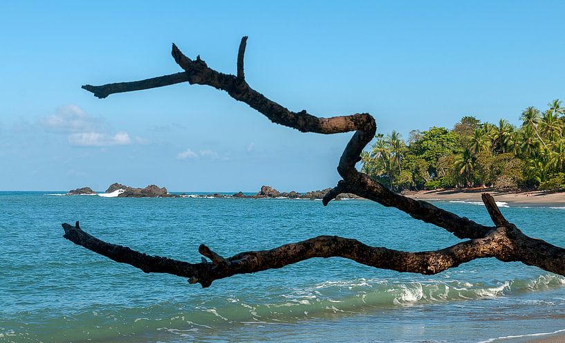 Costa Rica: Corcovado National Park par Maarten Verhees