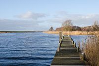 Innendeichs - Außendeichs Foto 12