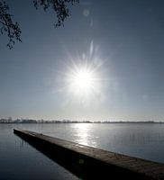 Winterzon boven Nannewiid