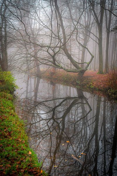 Backershagen Wassenaar von Dirk van Egmond