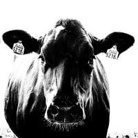 Liefde op het eerste gezicht