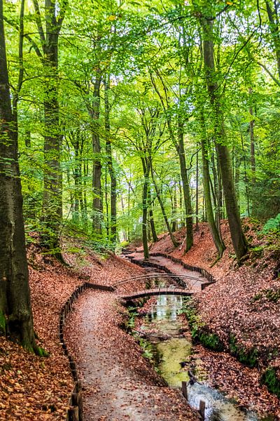 Der Bach Beekhuizen in Herbstfarben von Jurjen Jan Snikkenburg