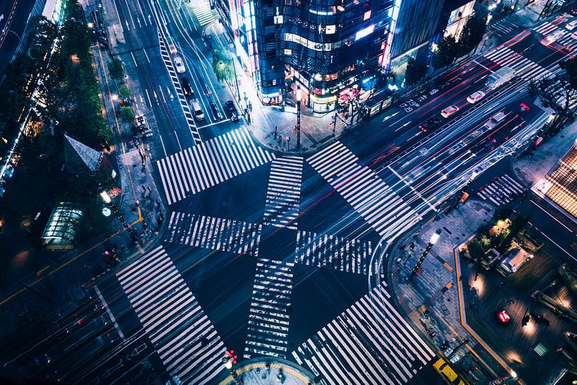 Ginza Crossing van Sander Peters