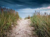 Zandpad door de duinen