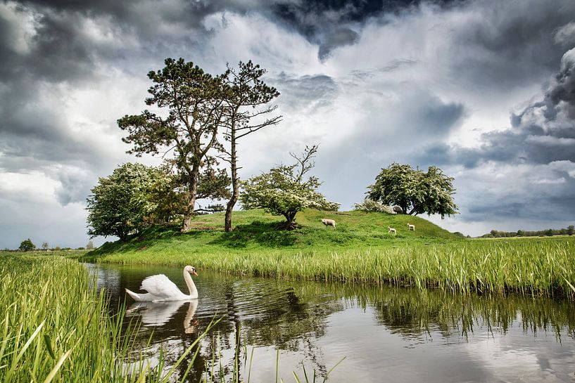 Schwan und Schafe im alten Bunker von Frans Lemmens