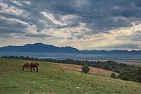 Landscape in beautiful Transylvania