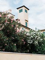 Blumen in einem italienischen Dorf