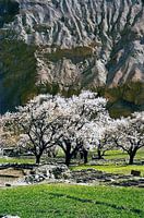 Hunza vallei in Pakistan