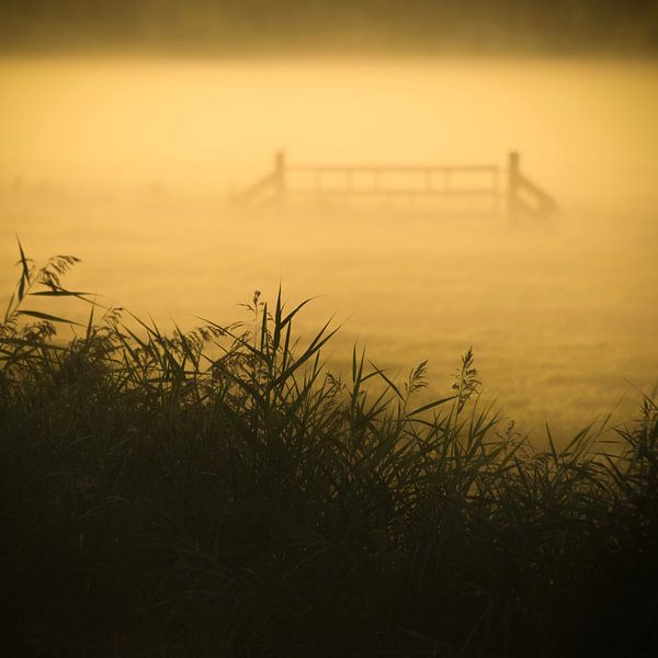Zaun auf der Wiese von Amsterdam Pixels