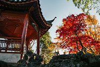 Asiatische Gartenszene