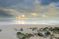 Ameland at its most beautiful