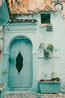 Little Maroccan door with plant