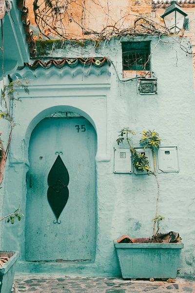 Little Maroccan door with plant by Iona Hogendoorn