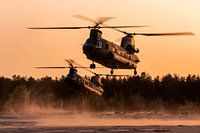 Deux hélicoptères de transport Chinook au travail au coucher du soleil