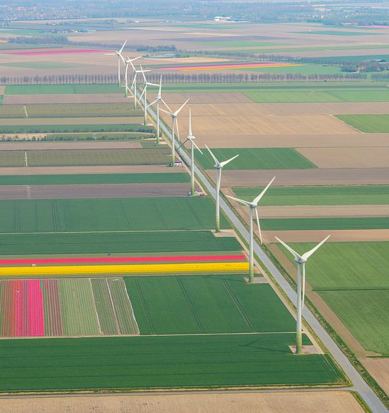 Aerial view of wind turbines in Flevoland standing in between  various by Sjoerd van der Wal Photography