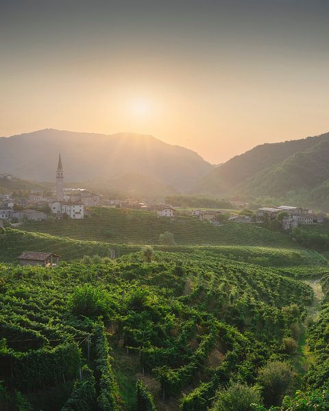 Prosecco Hills, vineyards and Guia village at sunrise by Stefano Orazzini