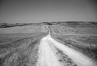 Straße in toskanischer Landschaft
