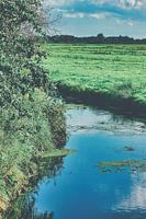 Spätsommer in Niedersachsen