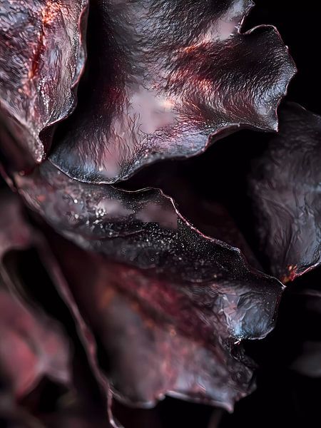 Abstrakte lila Blätter von haroulita