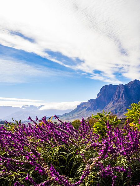 African mountain landscape by thomas van puymbroeck