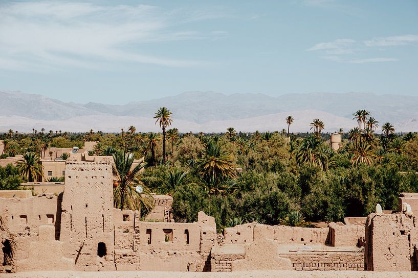 Blick über die Kasbah von Skoura | Marokko | Reisefoto von Expeditie Aardbol