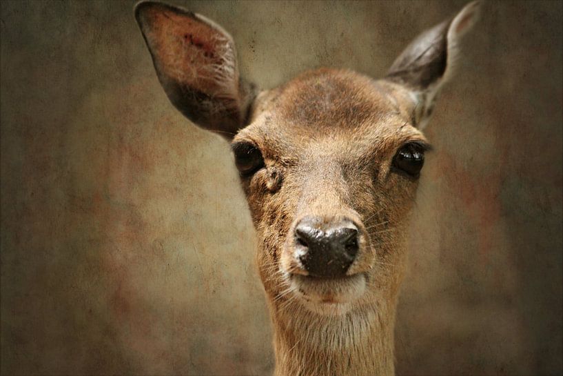 Rehauge par Heike Hultsch