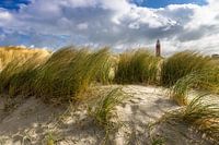 Phare et dunes sur Texel