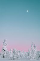 Marshmallow Bäume Sonnenuntergang | Reisefotografie Druck | Saariselkä Lappland