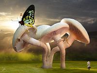 Children's Dreams - H. Fischer