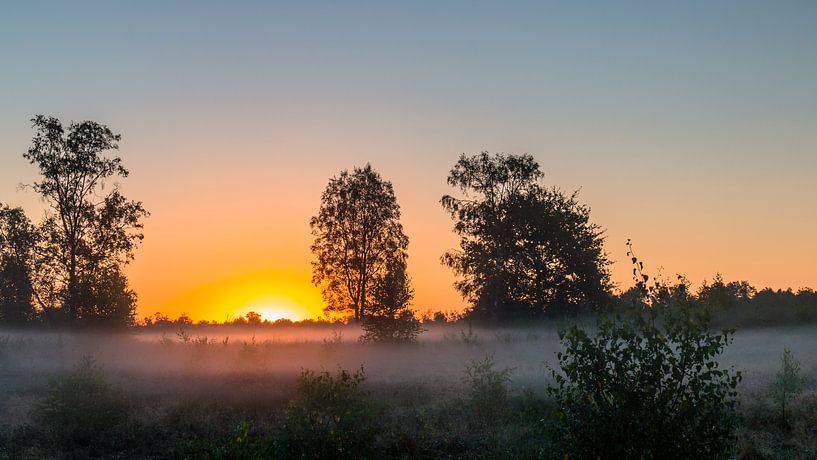 Sunrise Mist von wimke247